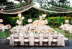 Свадебный кейтеринг2 Свадебный кейтеринг2